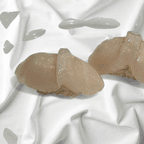 Best Hotategai (2 pcs) in Elmwood Park, IL