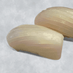 Best Ika (2 pcs) in Elmwood Park, IL